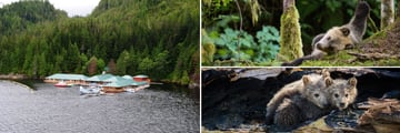 The Lodge & Bear Sightings at Knight Inlet Lodge