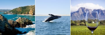 Knysna landscape, Whale watching & The Winelands