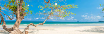 Pristine white beach in Koh Chang