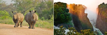 Kruger National Park rhinos & The Victoria Falls