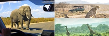 Kruger National Park