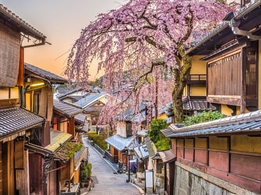 Blossom in Kyoto
