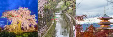 Kyoto