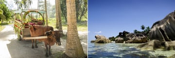 La Digue ox cart & beach scenery