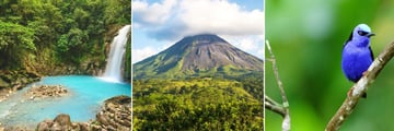 La Fortuna waterfall, Aernal volcano & Tropical birdlife