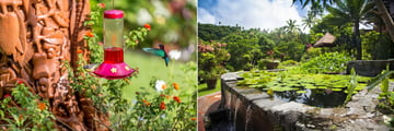 Ladera Resort, Gardens