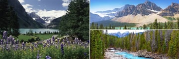 Lake Louise & Yoho National Park Kicking Horse River