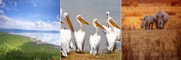 Lake Nakuru landscapes, flamingoes and rhinos