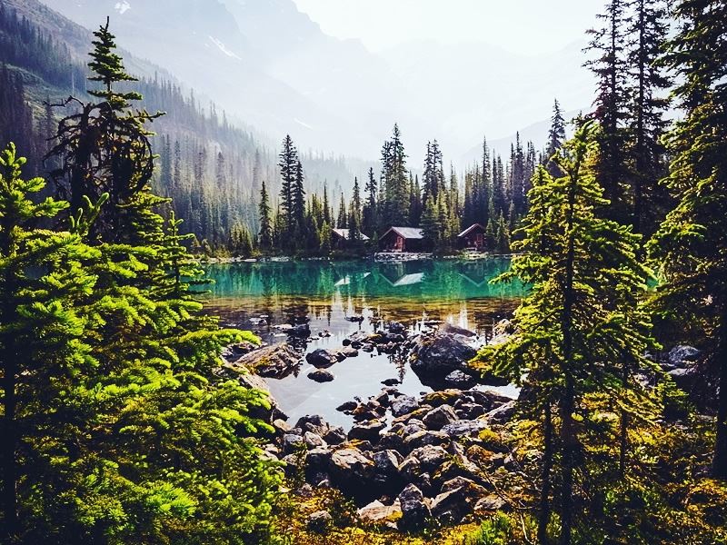Lake O'Hara, Yoho National Park