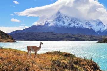 Lake Pehoe, Chile