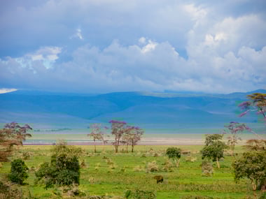 Tanzania
