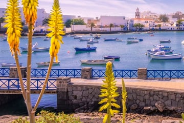Harbour in Lanzarote