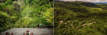 Beautiful aerial views of Lapa Rios Lodge