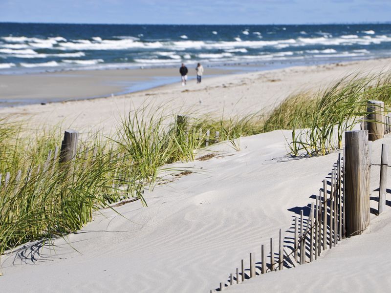 Late summer walk along a Cape Cod beach