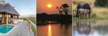 Leopard Hills & Sabi Sands