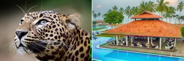 Leopard Safari & Club Hotel Dolphin