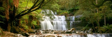 Liffey Falls, Tarkine region, Tasmania