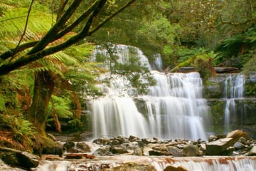 Liffey Falls, Tarkine region, Tasmania