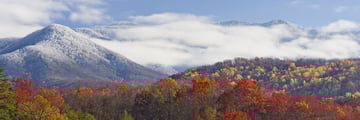 Light Snowfall in The Great Smoky Mountains Tennessee