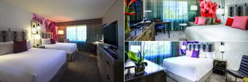 Loews Royal Pacific Resort at Universal Orlando, Standard Queen Room, Standard King Room and King Suite