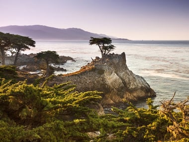 Monterey