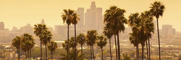 Los Angeles at dusk