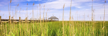 Views of Louisiana