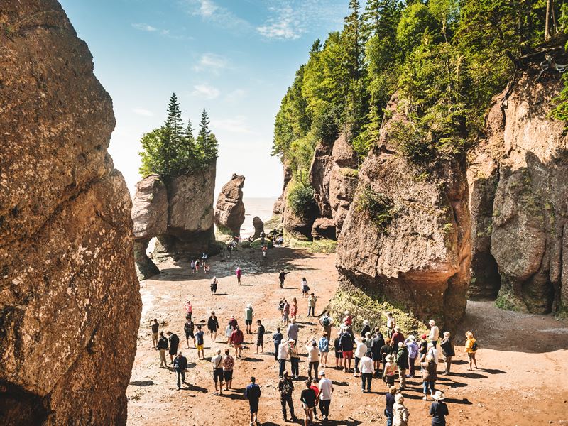 Low tide at Hopewell Rocks