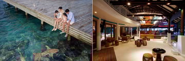 Machchafushi Island Resort & Spa Maldives coral bar and lounge
