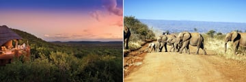 Madikwe Safari Lodge & Elephants crossing track