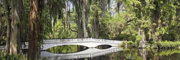 Magnolia plantation, Charleston, South Carolina