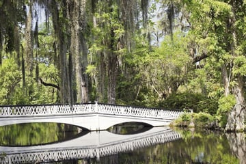 Magnolia plantation, Charleston, South Carolina