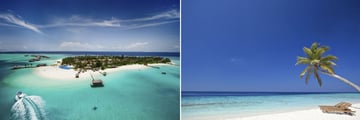 Maldives Island & Pristine Beachscape