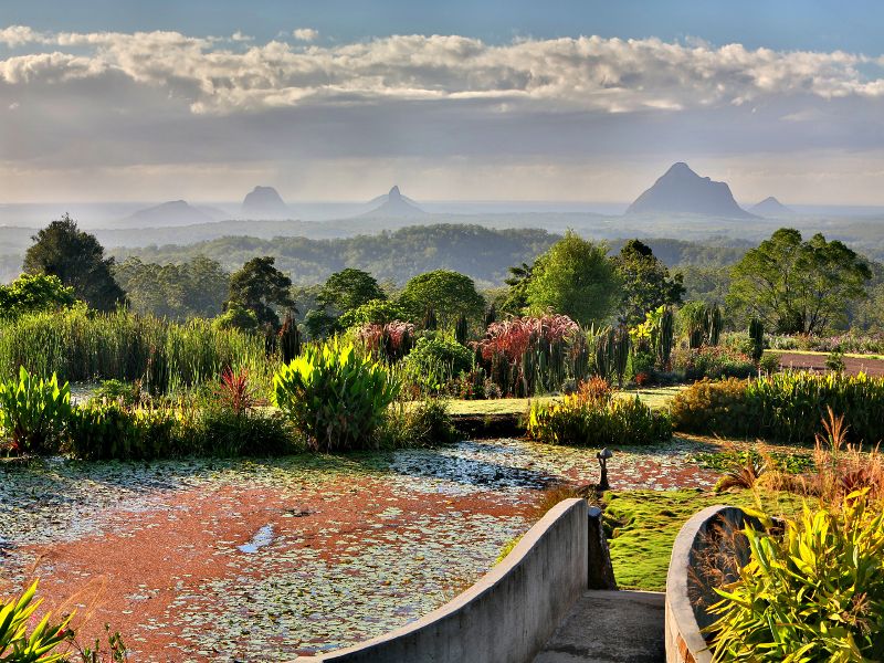 Maleny Botanic Gardens, Sunshine Coast