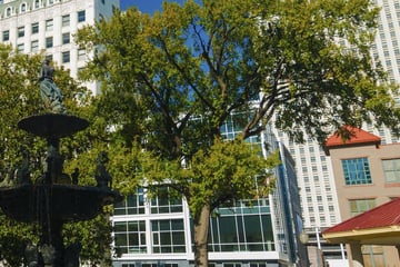 Malone Park, Memphis, Tennessee