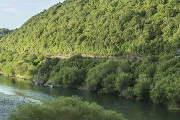 Manawatu Gorge steam train