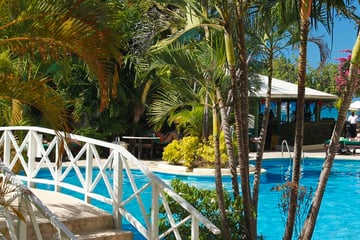 Mango Bay, Main Pool