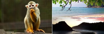 Manuel Antonio National Park