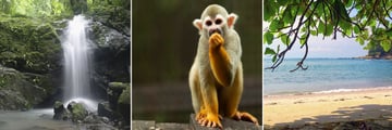 Manuel Antonio National Park