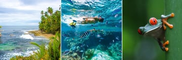 Manzanillo beach, snorkelling & wildlife