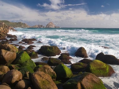 Margaret River & The South West