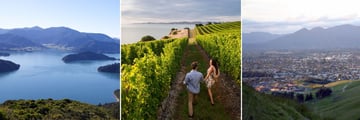 Marlborough Sounds & Blenheim Vineyards and Cityscapes