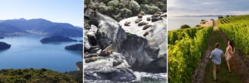 Marlborough Sounds & Blenheim Vineyard Wine Tour