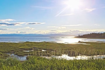 Marshland in Riviere-du-Loup