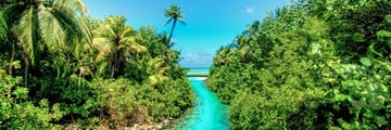 Mauritius Jungle and Creek