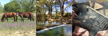 Horses, rivers and barbecues at Mayan Dude Ranch