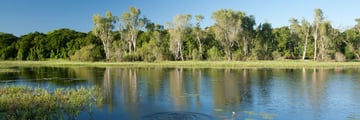 McCreadies Billabong, near Litchfield National Park, Kakadu
