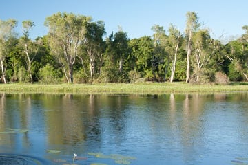 McCreadies Billabong, near Litchfield National Park, Kakadu