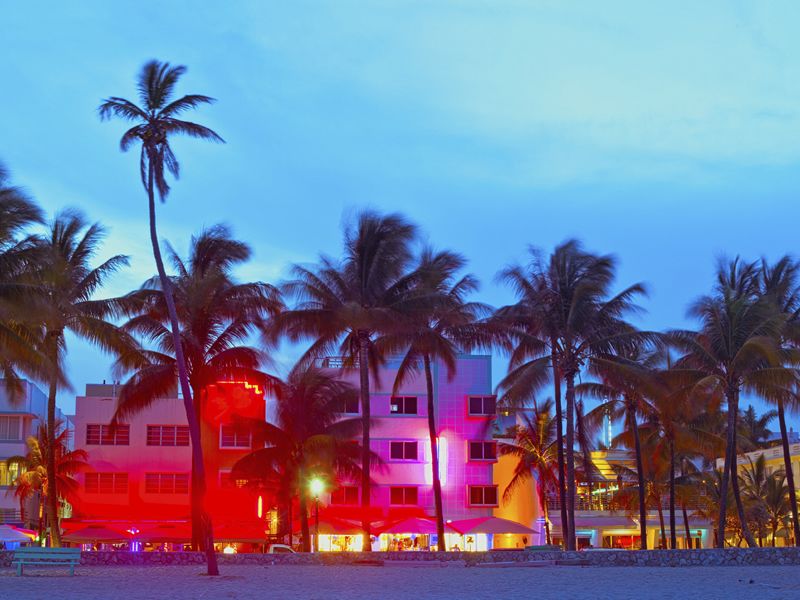 Miami Hotels and Palms at Night