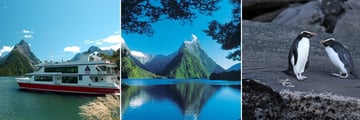 Milford Sound Scenery & Penguins in Fiordland